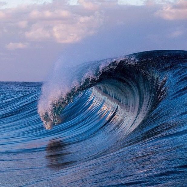 Unraveling The Science Behind Riding The Perfect Wave